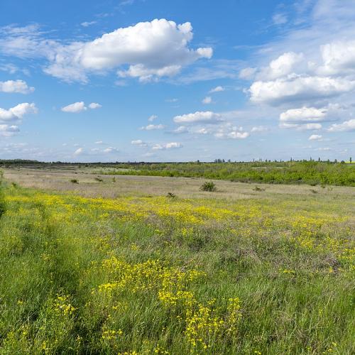 Фото Урочище Жовта круча