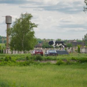 Фото Пам’ятник Бику запліднювачу