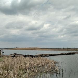 Фото Дерев'яний міст