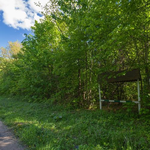 Фото Жмеринське лісове господарство