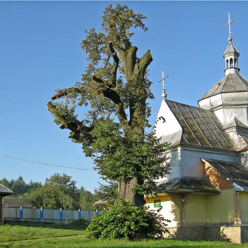 Фото Введення в Храм Пресвятої Богородиці 1887р