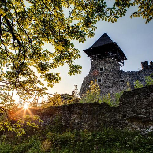 Фото Невицький замок.