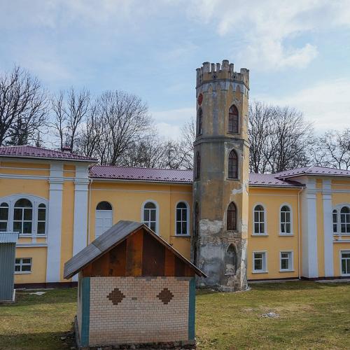 Фото Крупинських. Палац (невродиспансер) вхід затруднений