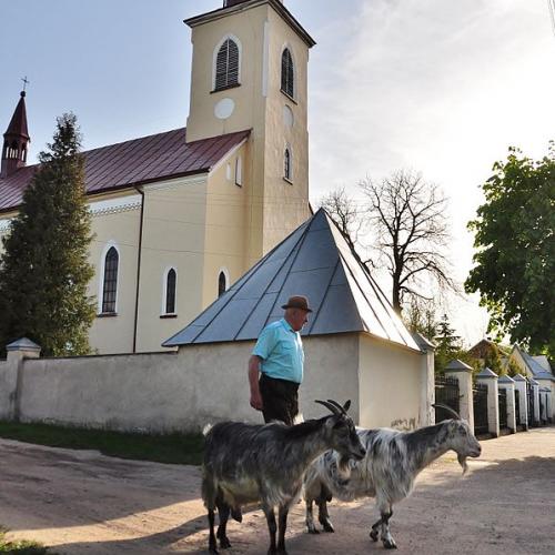 Фото Матері Божої Помічниці Вірних