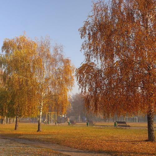 Фото Парк Хіміків