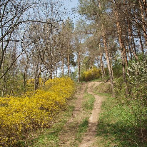 Фото Полтавський міський парк