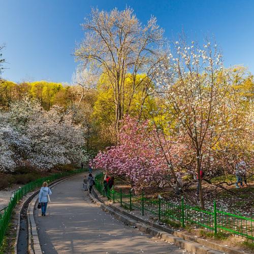 Фото Ботанічний сад ім. акад. О. В. Фоміна