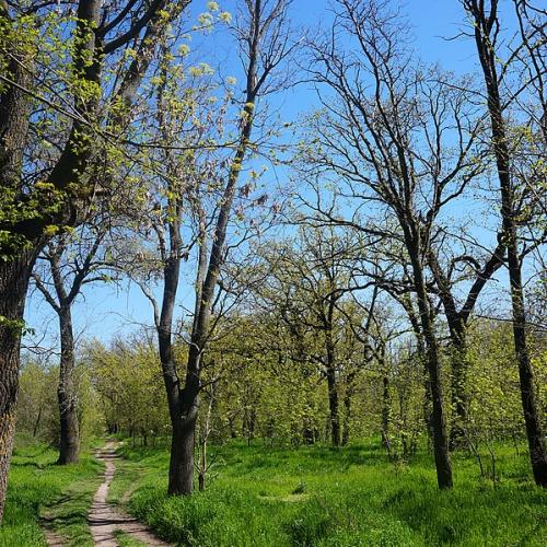 Фото Садово-паркового мистецтва, парк Реймера