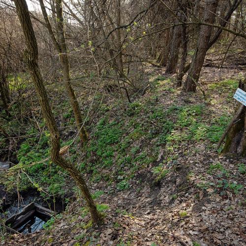 Фото Джерело Овече (є ймовірність, що місце не точне)