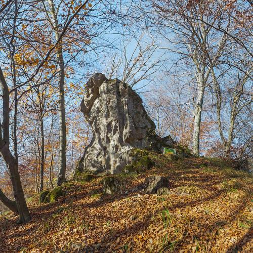 Фото Скеля Великий камінь у лісі