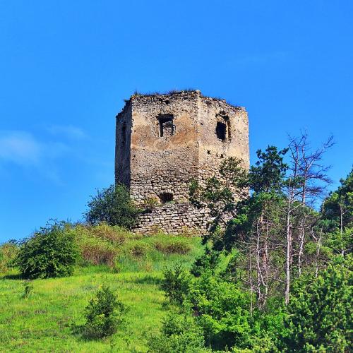 Фото Замок у селі Висічка (Південно-східна вежа замку)