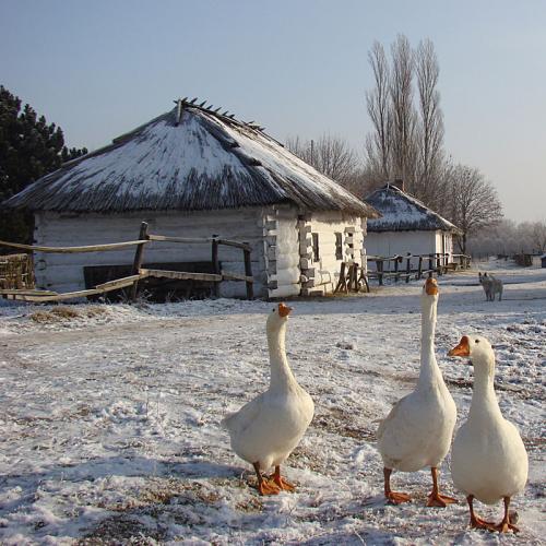 Фото Музей на природі. Історія села.