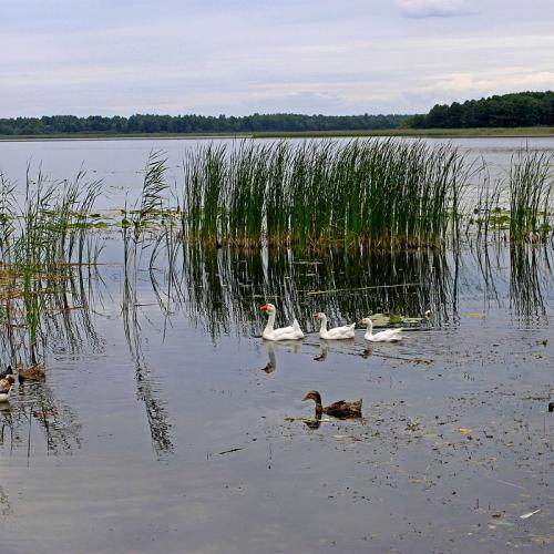 Фото Пулемецьке озеро
