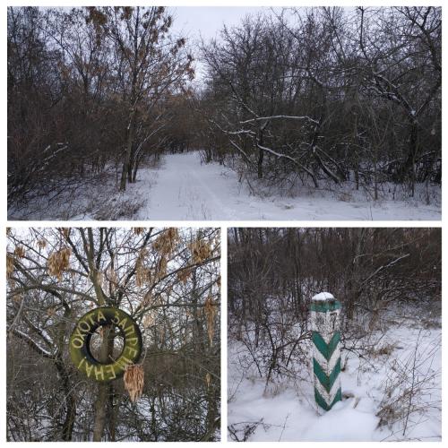 Фото Стовпчик 7. Межа лісових кварталів