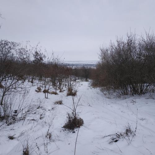 Фото Городище Конське (Кінські Води), Мертве місто, Сім мечетей