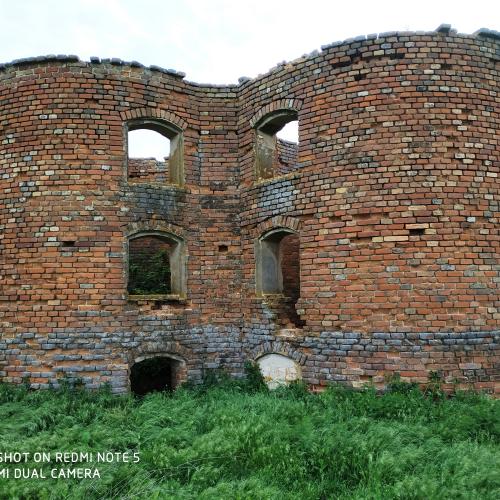 Фото Силосні вежі (19 вік, подвійні)