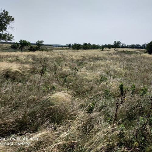 Фото Бульбина балка - Козачий зимівник