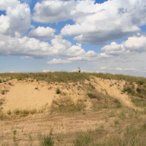 Фото Лиса гора за старих часів Біла