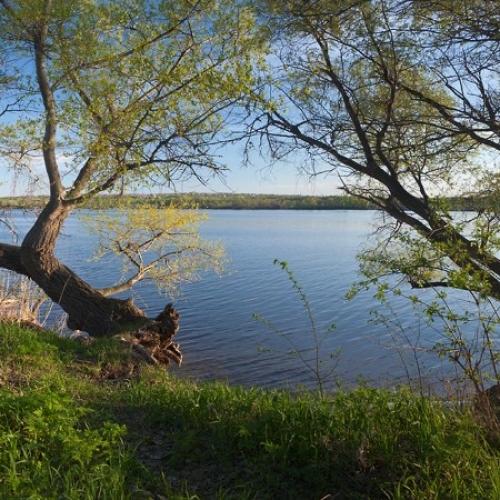 Фото Балка Черняхівка