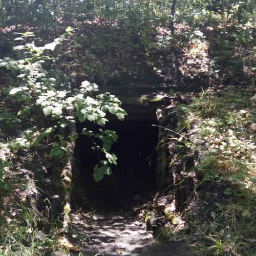 Фото Партизанська землянка у Самарському лісі