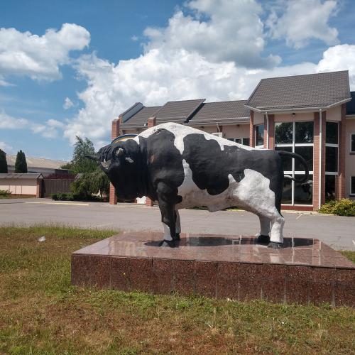 Фото скульптура бика