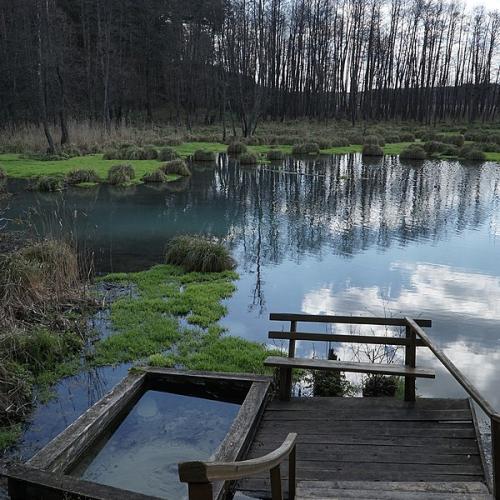 Фото Узруївські джерела