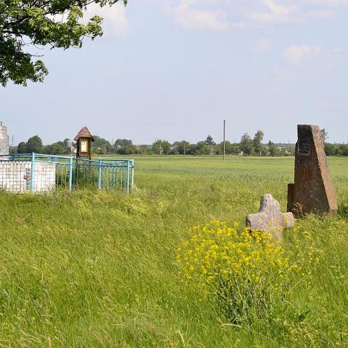 Фото Городище «Замок», IX—XIII ст