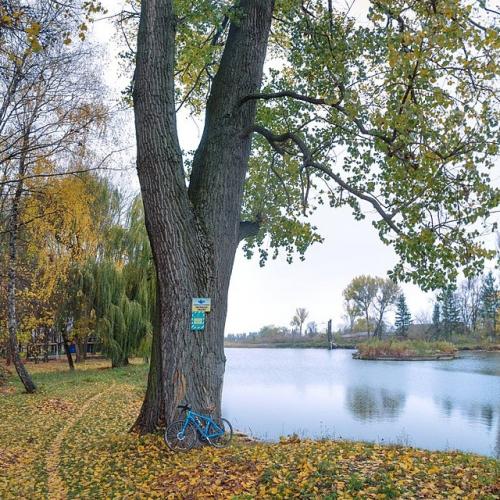 Фото Висо́ківський парк