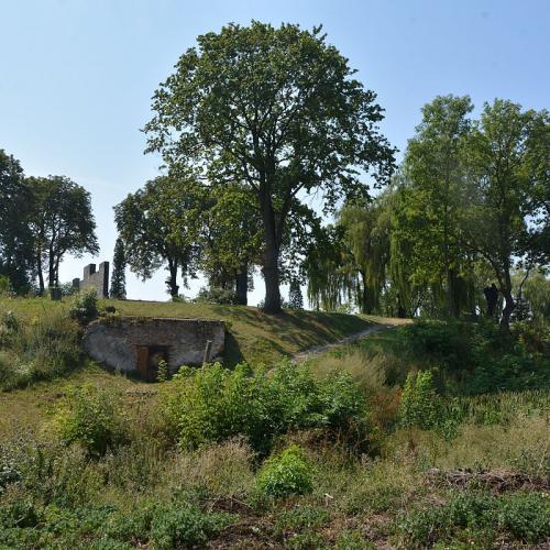 Фото Городище «Замчище», XIІIст