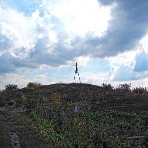 Фото Більший Федорівка, могильник курганний