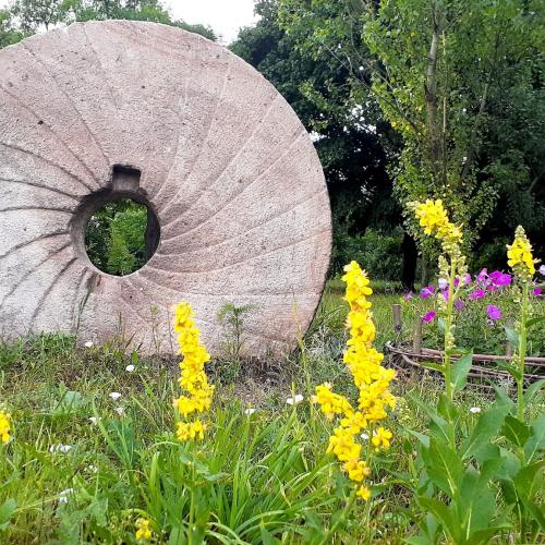 Фото Кам'янi млиновi кільця. Жорна з млина