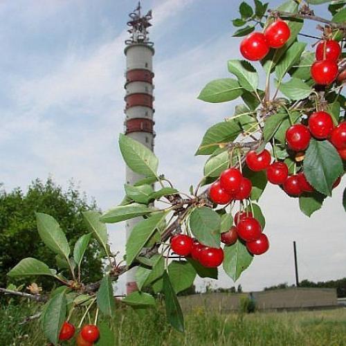 Фото Радіорелейна станція РРС-19. Залізобетонна вежа 105м