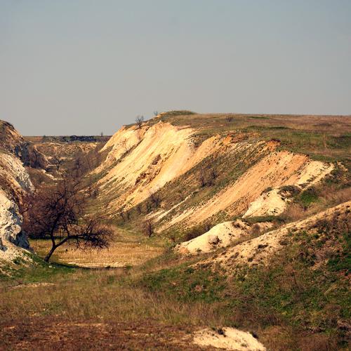 Фото Дружківські скам'янілі дерева