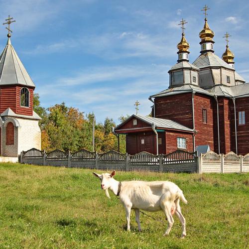 Фото Різдва Богородиці 1777р