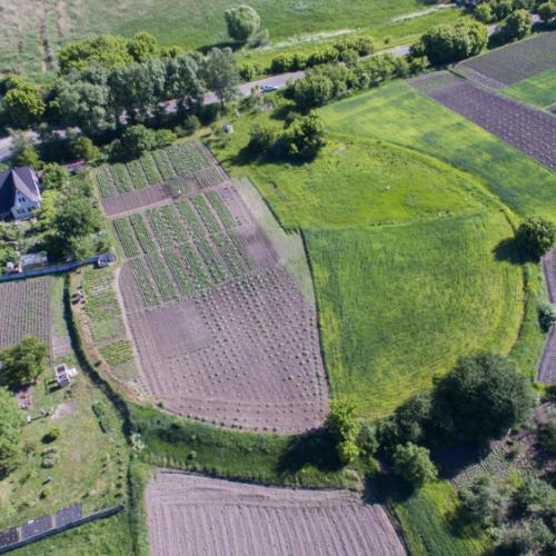 Фото Давньоруське городище Веселинівка, археологічна пам'ятка