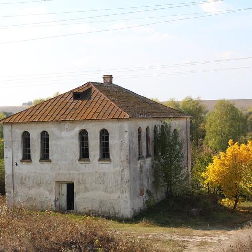 Фото Синагога мурований