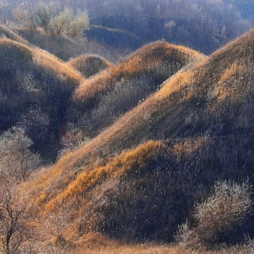 Фото Ковилові горби