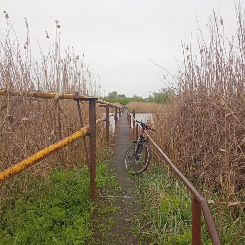 Фото Пішохідний міст та газопровід