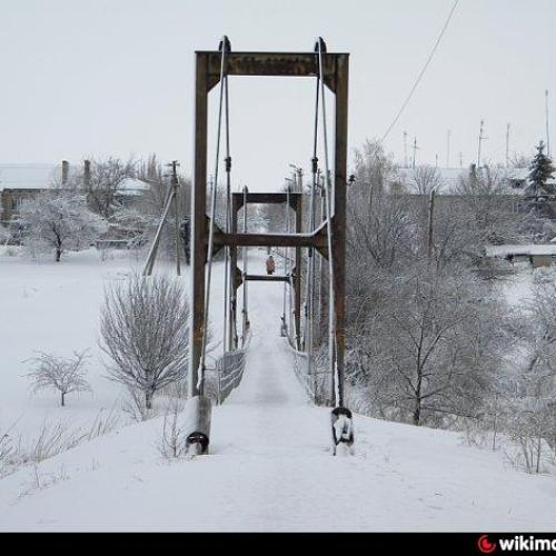 Фото Підвісний пішохідний міст