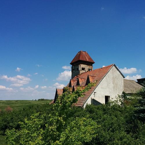 Фото Палац природи