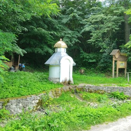 Фото Джерело Пліснесько