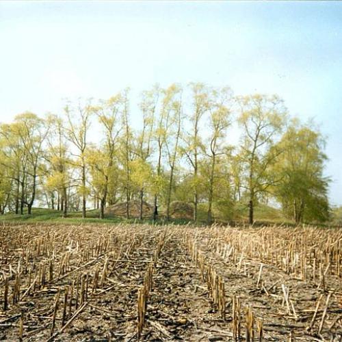 Фото Могила Лядвига курган