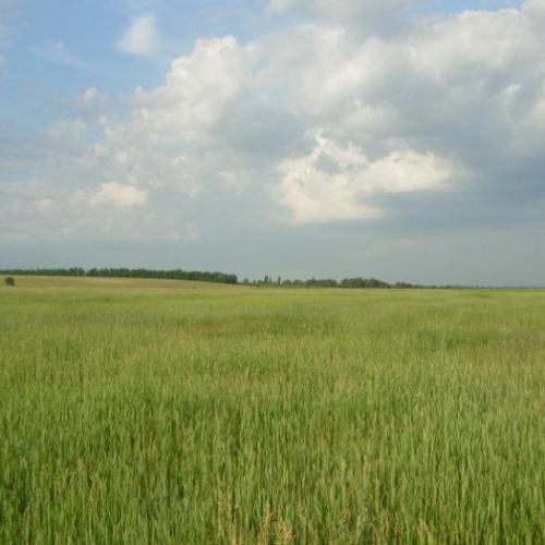 Фото Оболонський кратер (діаметром 17 км)