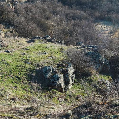 Фото Лівобере́жжя — заповідне урочище